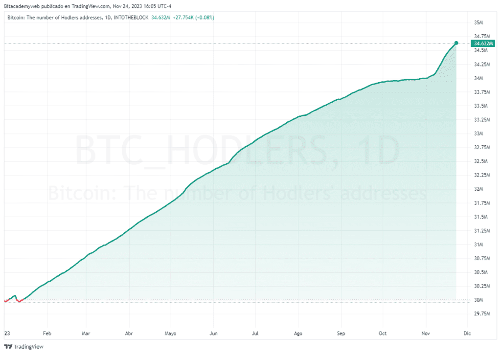 Hodlers bitcoin