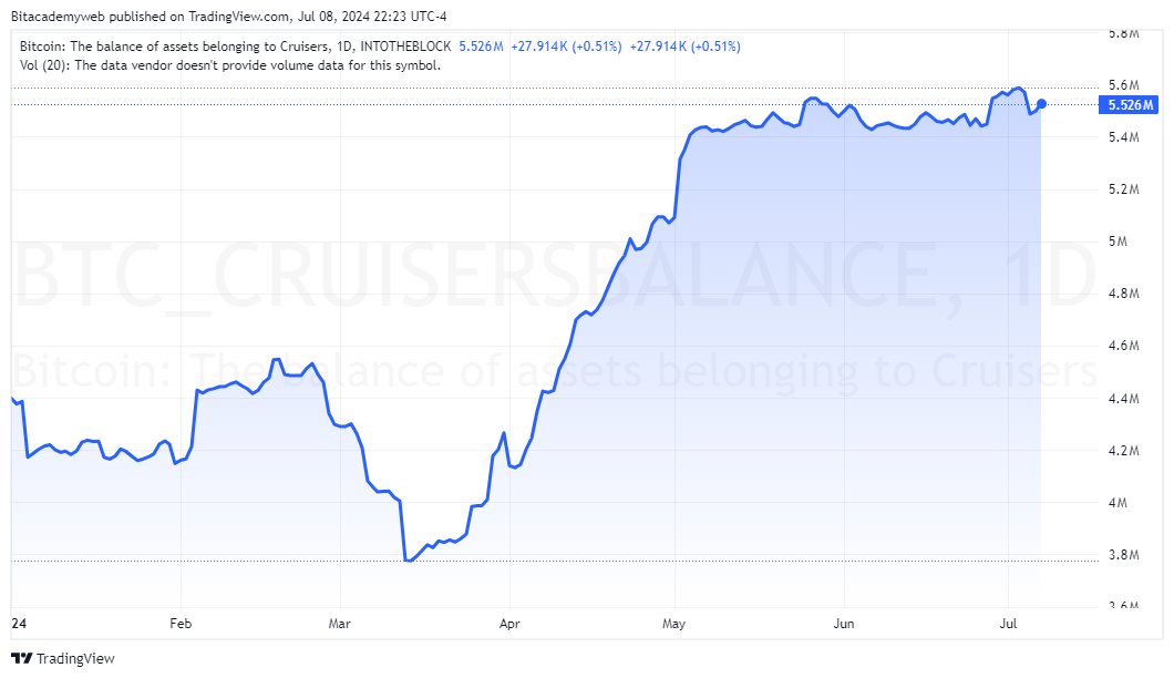 Cruisers bitcoin