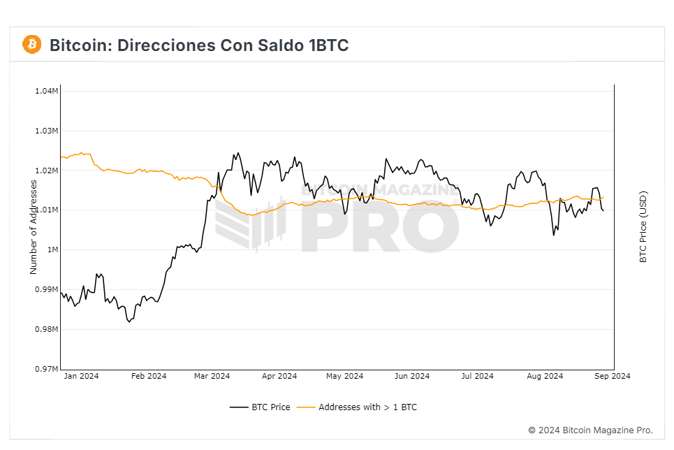 Inversores minoristas bitcoin