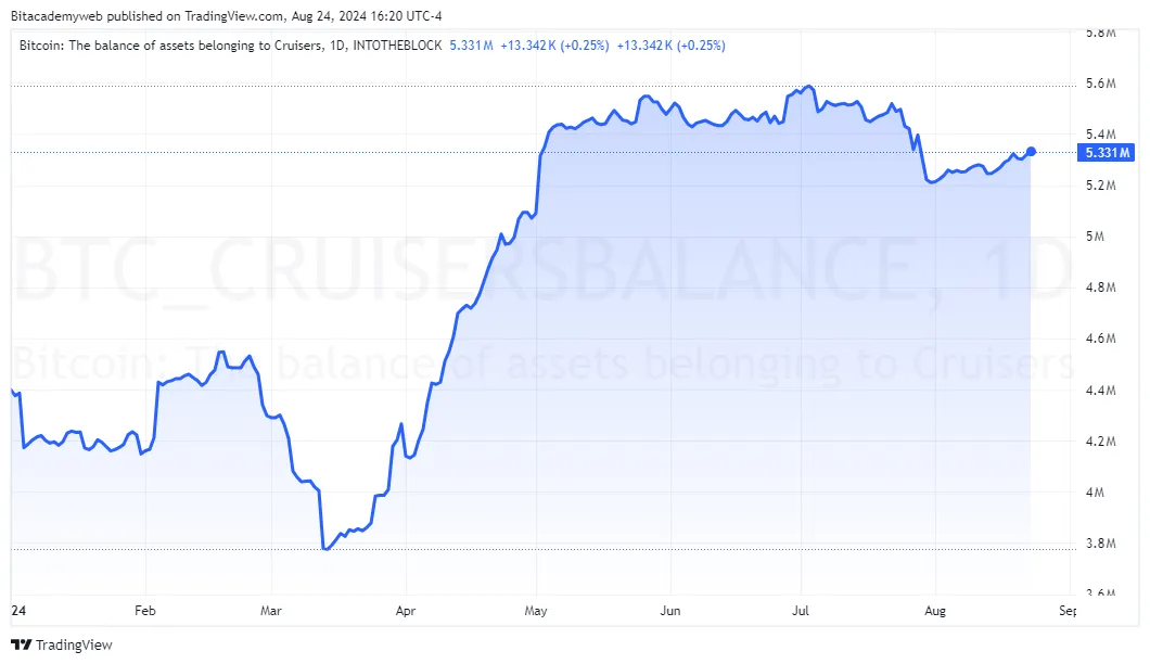 Cruisers bitcoin