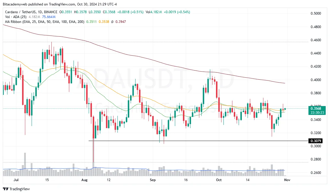 Noticia cardano