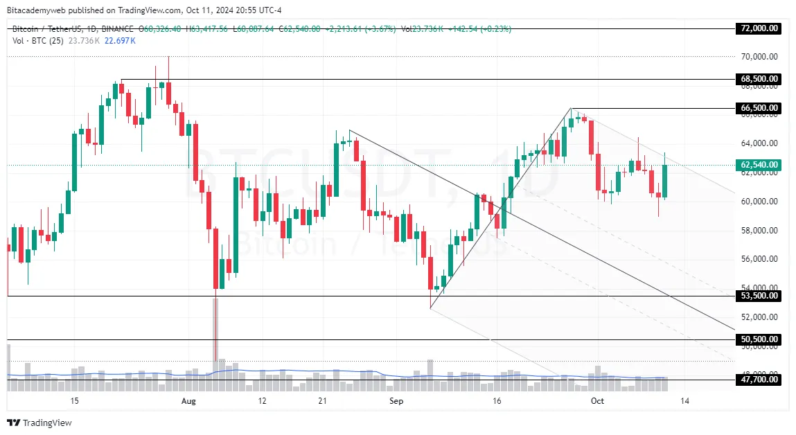 IPP BITCOIN