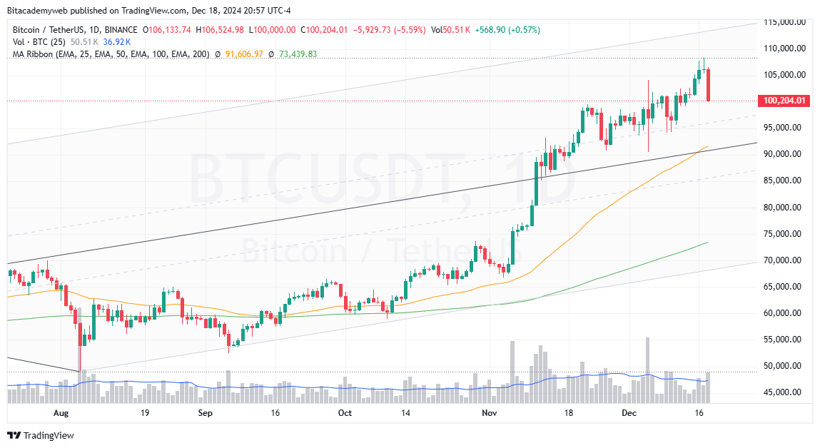 Bitcoin especulación tasas