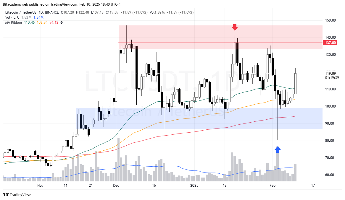 Litecoin ltc etf